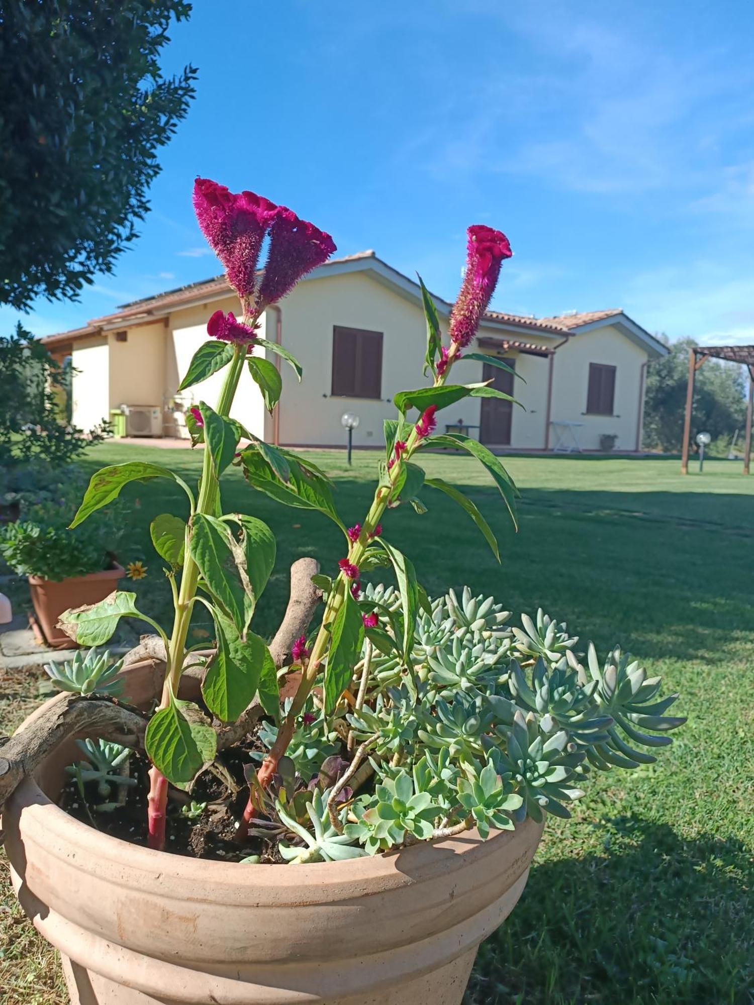 Agriturismo Le Villette Di Cate Alberese Εξωτερικό φωτογραφία